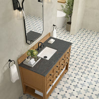 48" Malibu Single Bathroom Vanity, Amber Birch with Parisien Bleu Top