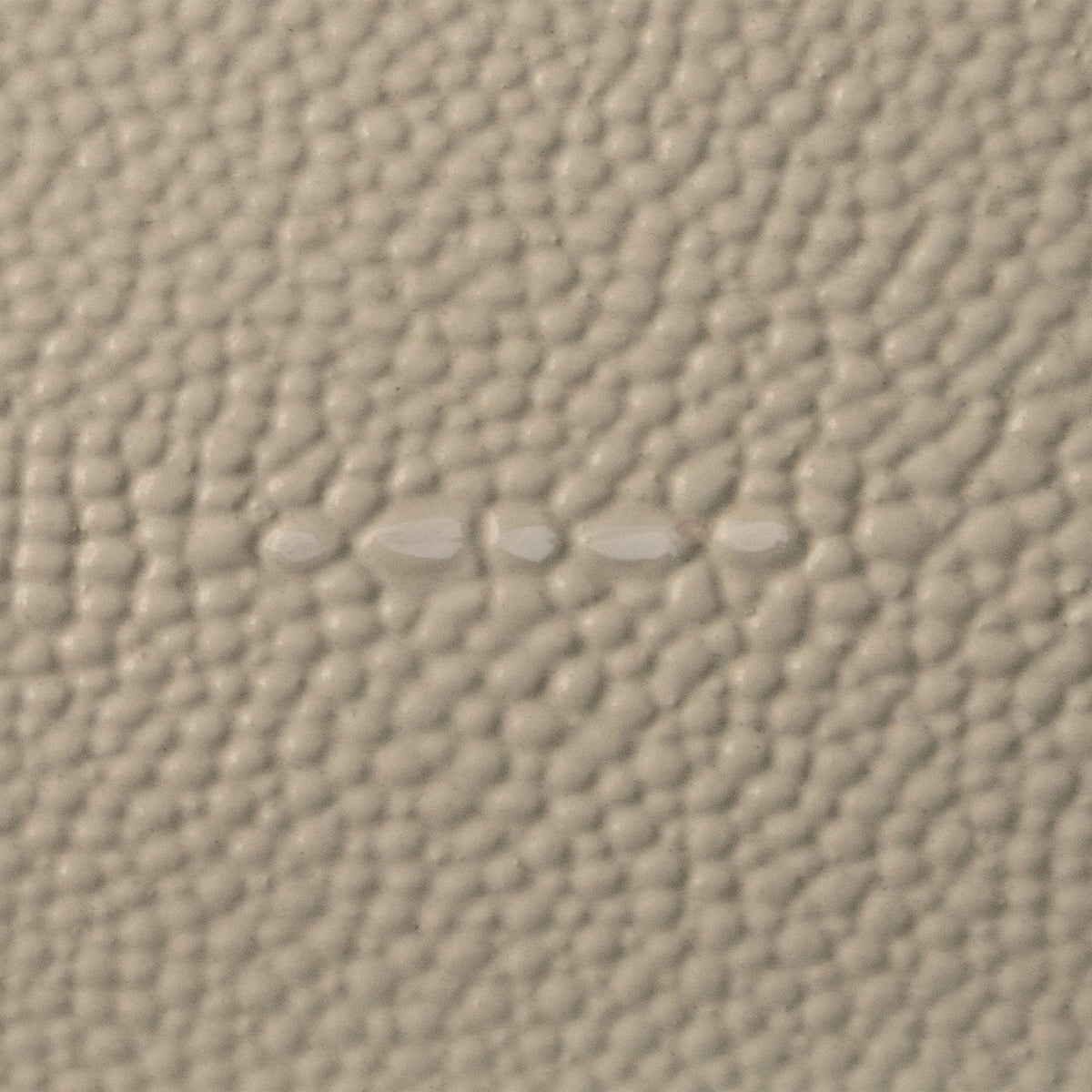 Oyster Shagreen - Wood Sample