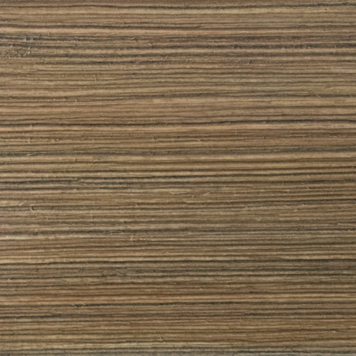 Weathered Timber - Wood Sample